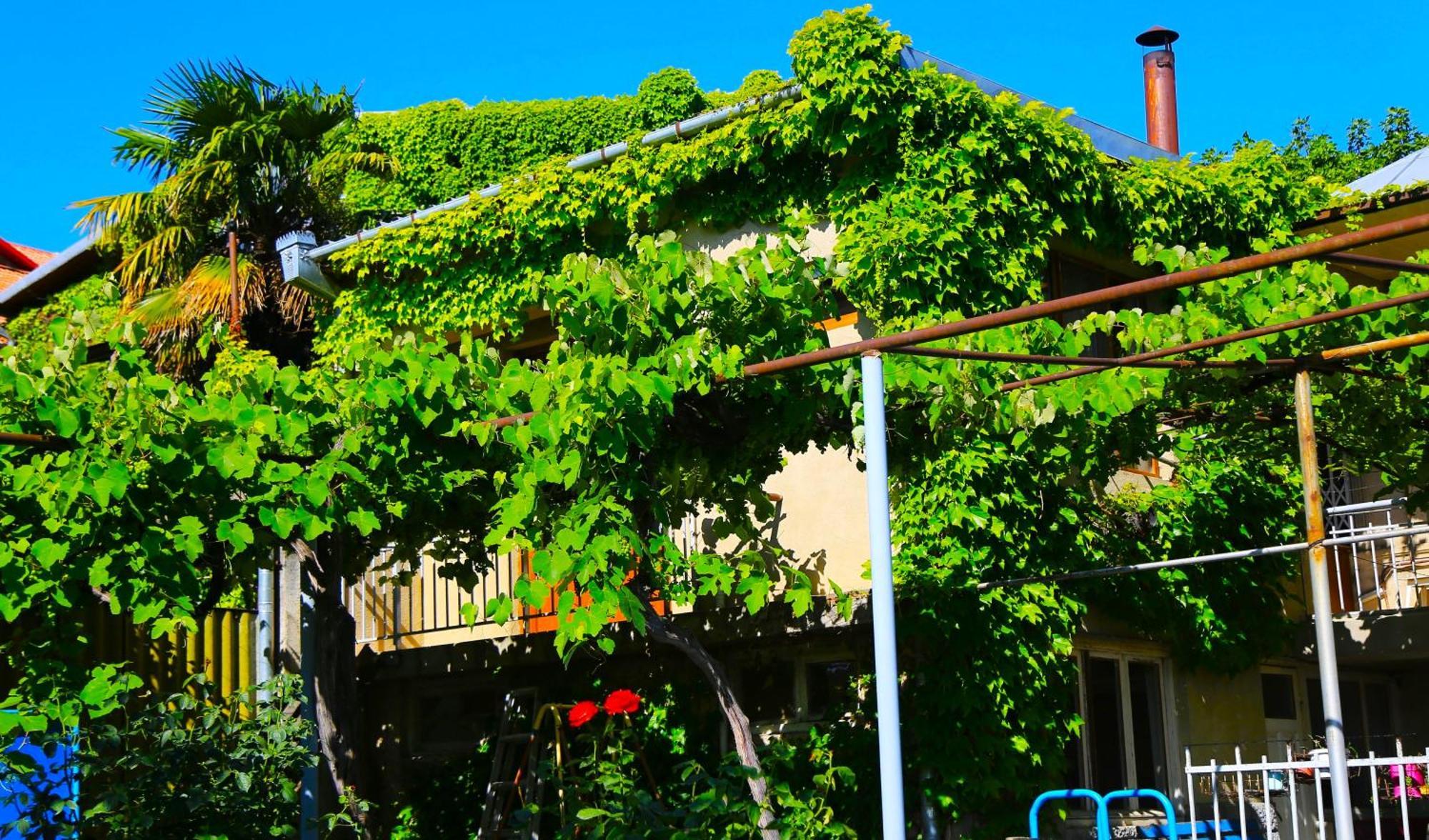 Guest House Green Veranda Мцхета Экстерьер фото